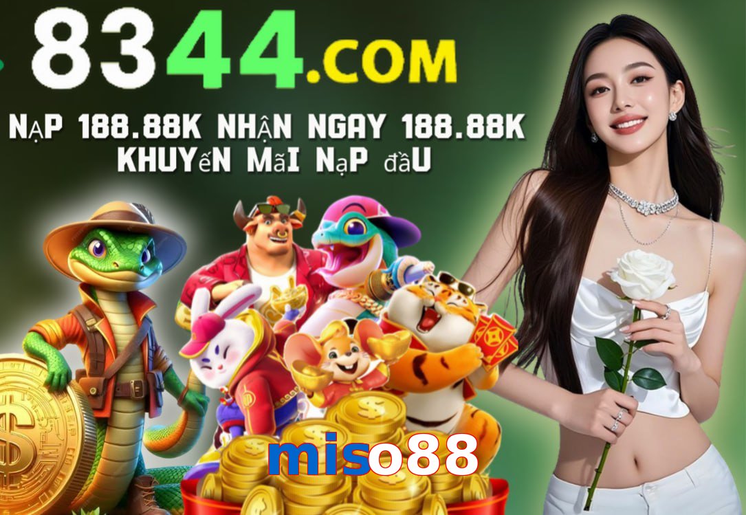 miso88